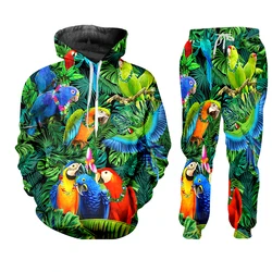 Survêtement pour homme, survêtement 2 pièces, sweat shirt, pantalon de sport, fermeture éclair, décontracté 