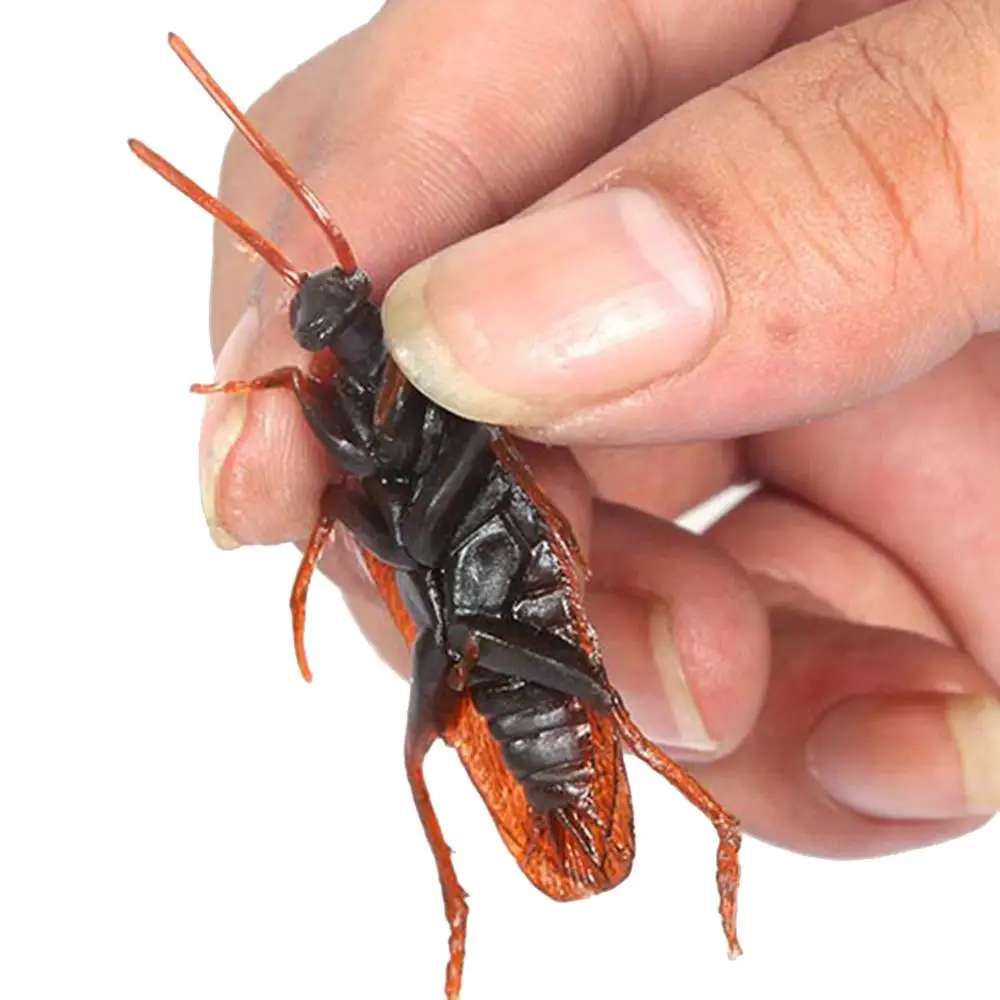 5pcs Realistic Simulation Fake Cockroach Roach Novelty Bugs Joke Toys for April Fools Day Halloween Party Favors Decoration 5pcs Realistic Simulation Fake Cockroach Roach Novelty Bugs Joke Toys for April Fools Day Halloween Party Favors Decoration