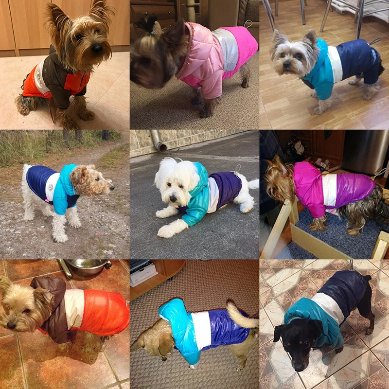 Pet Dog Jacket Coat Autumn Winter Clothes For Dogs Cotton-padded Warm 2-legged Hooded Coat Small Dogs Thickening Jacket