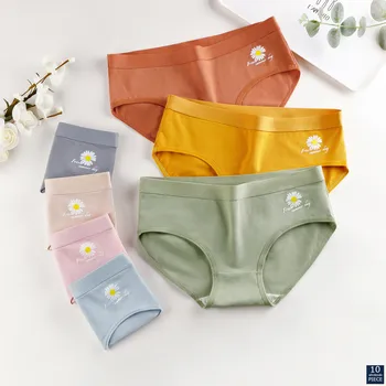 

10 Pcs/LOT Woman Panties Underwear Sexy Lace Breathable Soft Lingerie Female Briefs Panty Sexy Transparent NJR C888