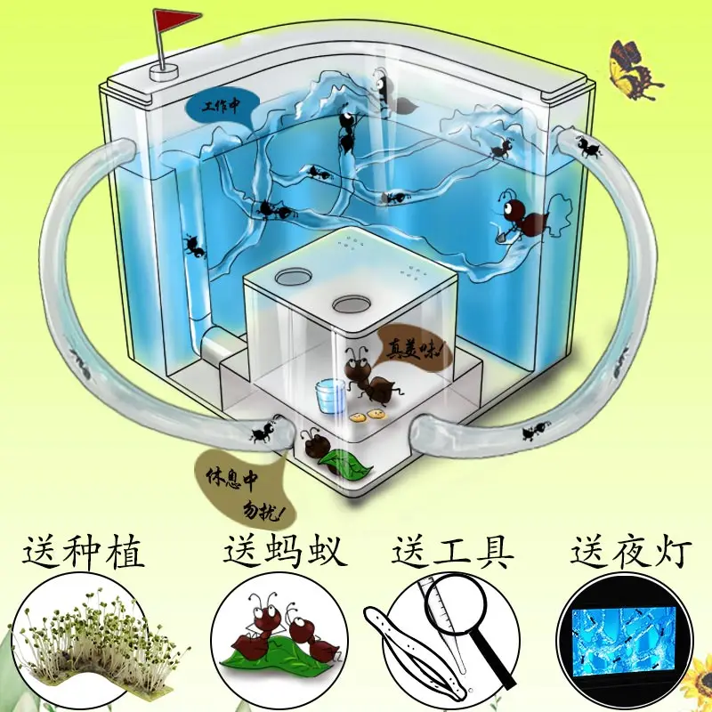 Ant workshop villa home ant castle ecological ant nest manor ant pet ant living ant queen