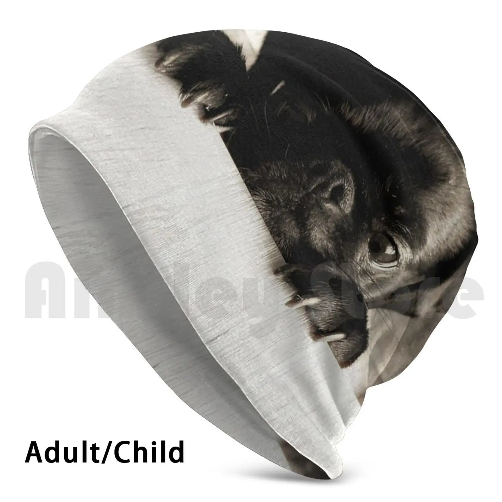 Pug Black Puppy Peeking In Bianco E Nero Toni Berretti Cappello Lavorato A Maglia Hip Hop Dog Pet Pug Bulldog Olandese Dutch Masttiff