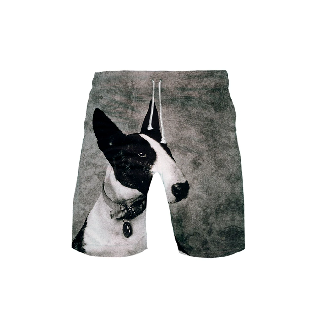 Terrier 3D print Basic Street hip hop Fashion cool Beach Summer Casual comfortable kpop man Hipster