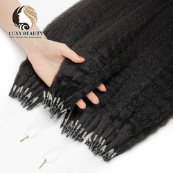 Micro Bead Hair Extensions Kinky Straight Microlink Human Hair Natural Black 50g/Pack Brazilian Remy Hair Micro Rings Extensions