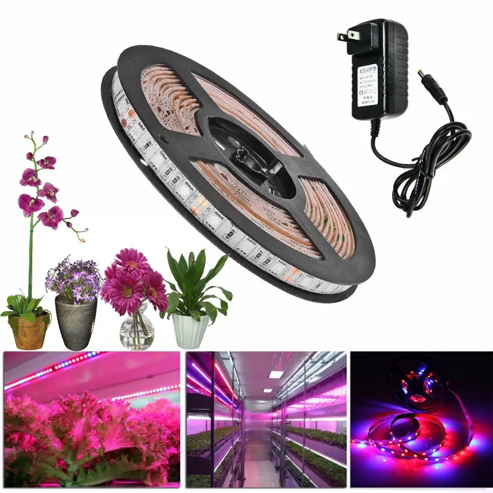 5M LED Grow Light Strip Full Spectrum UV Lamps for Plants Waterproof Phyto Tape Red blue Tape with Adapter for Greenhouse Grow