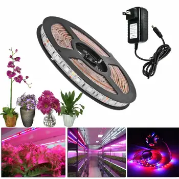 

5M LED Grow Light Strip Full Spectrum UV Lamps for Plants Waterproof Phyto Tape Red blue Tape with Adapter for Greenhouse Grow