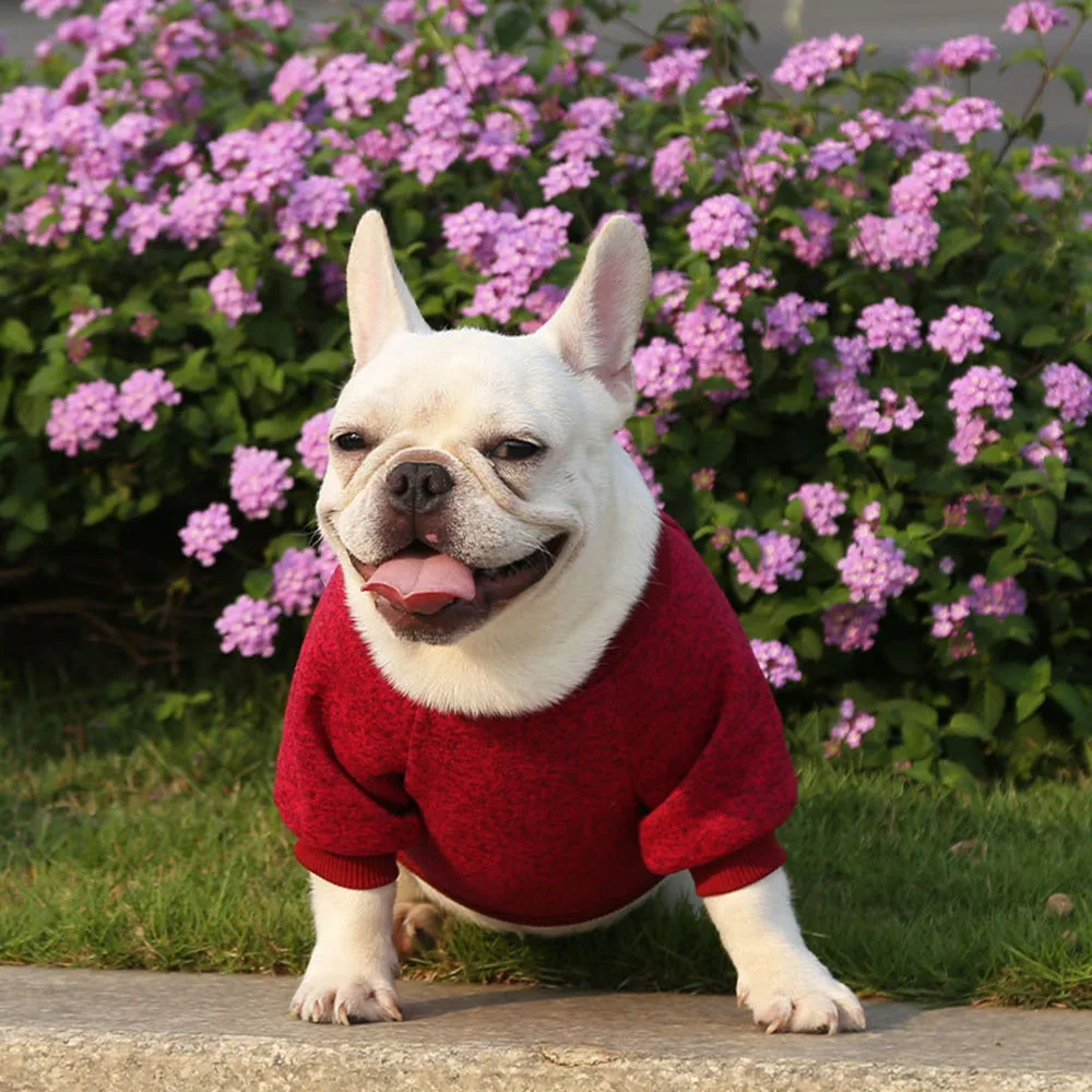 

Soft Winter Warm Clothes for Small Dogs, Chihuahua Clothes, Classic Dog Sweater, Cat Outfit
