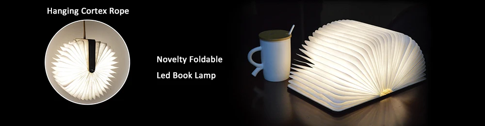 Novelty Lamp