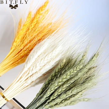 

50Pcs/lot Real Wheat Ear Flower Natural Dried Flowers for Wedding Party Decoration DIY Craft Scrapbook Home Decor Wheat Bouquet