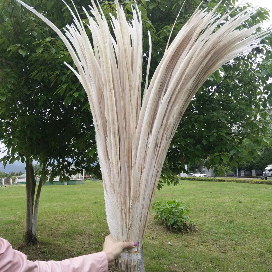 28-30 inch 70-75 cm Драгоценные 50/100 шт. цвета: белый/черный 24-40 дюймов/60-100 см натуральные перья фазана для свадебного декора, вечерние поставки - Цвет: 28-30 inch 70-75 cm