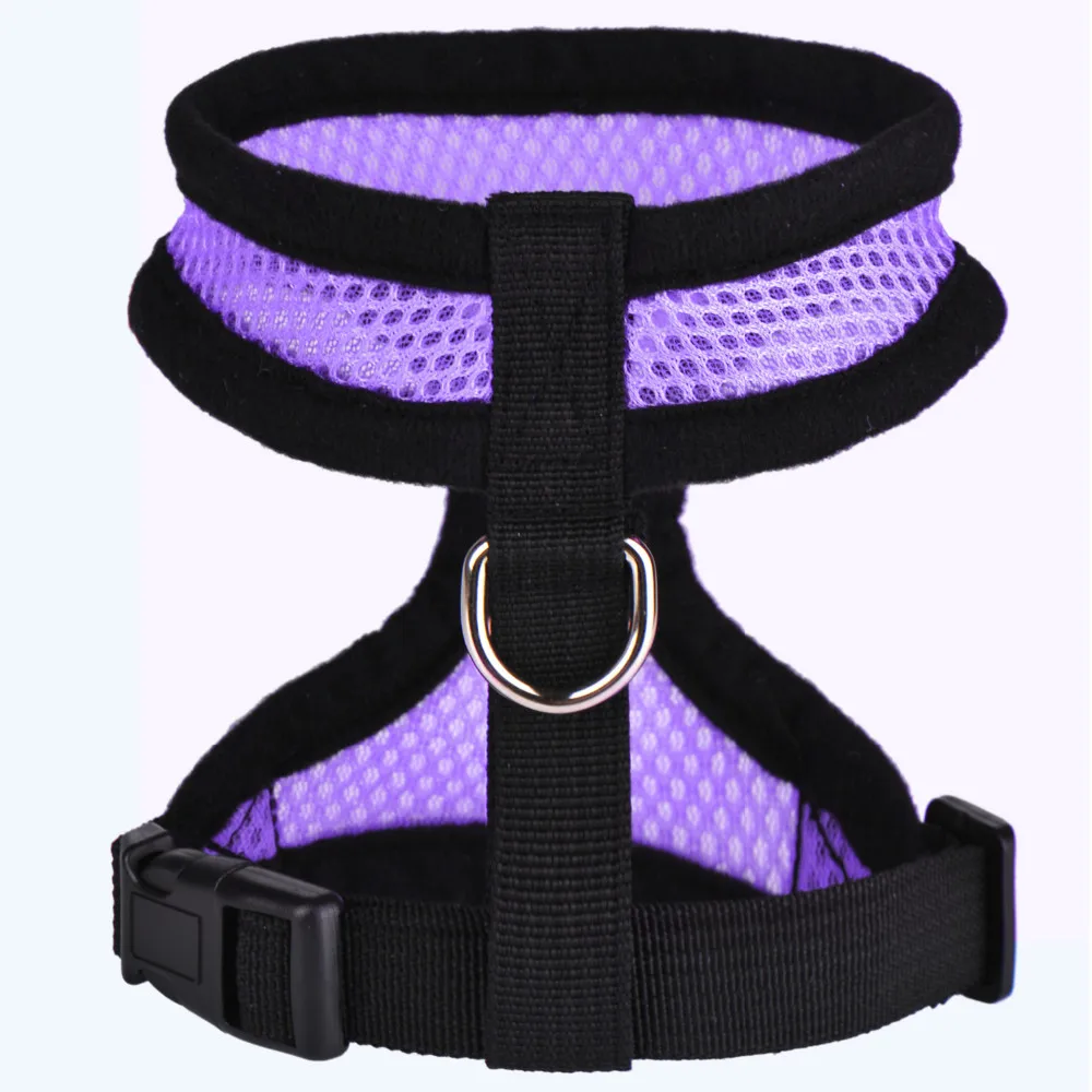 DY103-Purple (2)