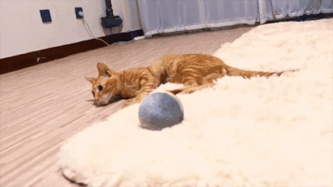 

New Pet Cat Ball LED Wicked Ball New Design Pet Dog Cat Toys Interactive Toy Electric Cat Funny Toy
