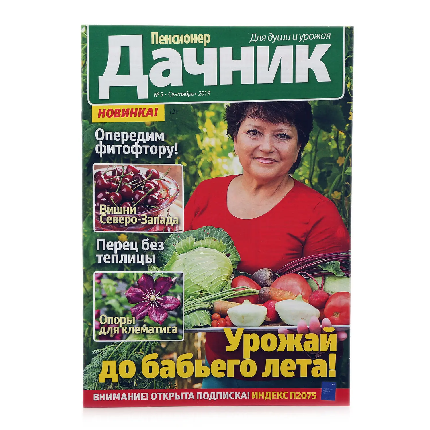 журнал пенсионер дачник. пенсионер дачник. пенсионер дачник журнал 2022. журналы про огород и дачу. журнал дачник.