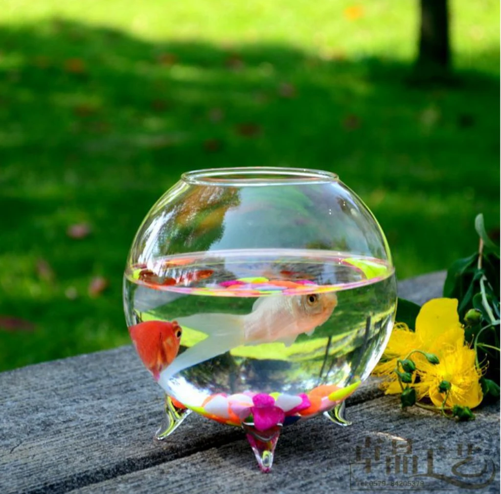 6pcs Home Decorative Ball Shaped Clear Glass Display Vases Fish Bowl Candleholders Air Plants Hydroponic Pot Terrarium