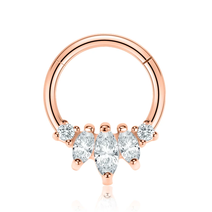 Rose Gold GAGABODY 16 г хирургическое стальное шарнирное сегментное кольцо Пирсинг Нос Обруч губы кольца нос спиральный для хряща Грач Серьги 8 мм 10 мм - Окраска металла: Rose Gold