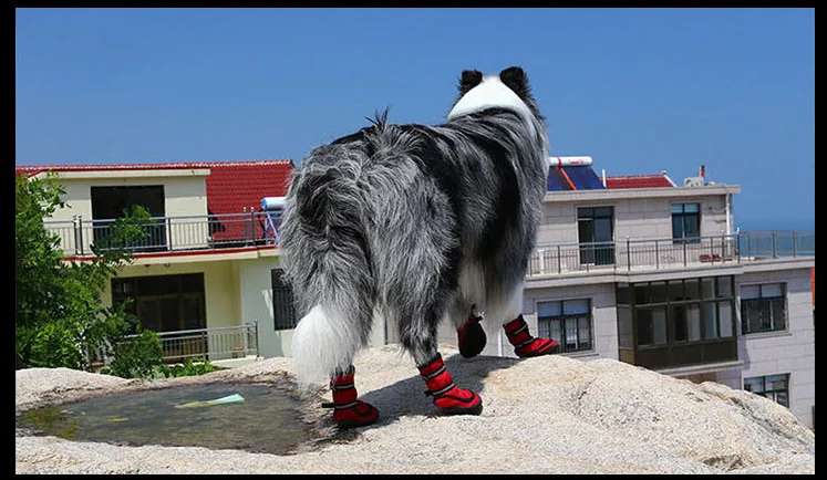 O1CN011QkuWVwwlz1ZcPG_!!2340322015 (1)_副本