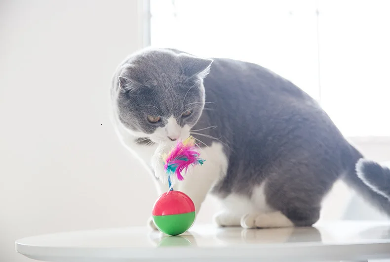Забавная мышь игрушки неваляшки для мяч для котов интерактивные кошки котенок игрушки интерактивные игры Обучение кошек товары для питомцев