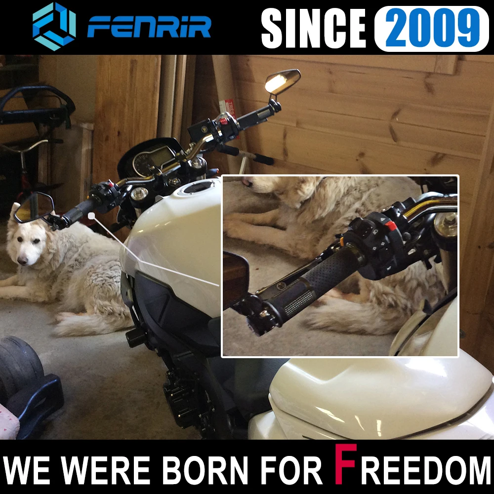Мотоциклетный захват FENRIR CNC для Husqvarna Honda Suzuki Yamaha Xvs650 Ybr125 Wr450f Benelli BMW Ducati KTM Aprilia Kawasaki