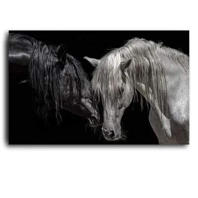 Afrique Couple Animaux Noir Blanc Cheval Toile Peintures Animaux Amour Affiches Imprime Mur Photos Salon Decoration De La Maison Aliexpress