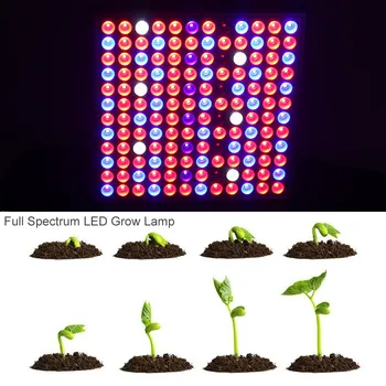

LED Plant Grow Light Lamp Full Spectrum 45W For Greenhouse Gardening Indoor Hydroponics HUG-Deals