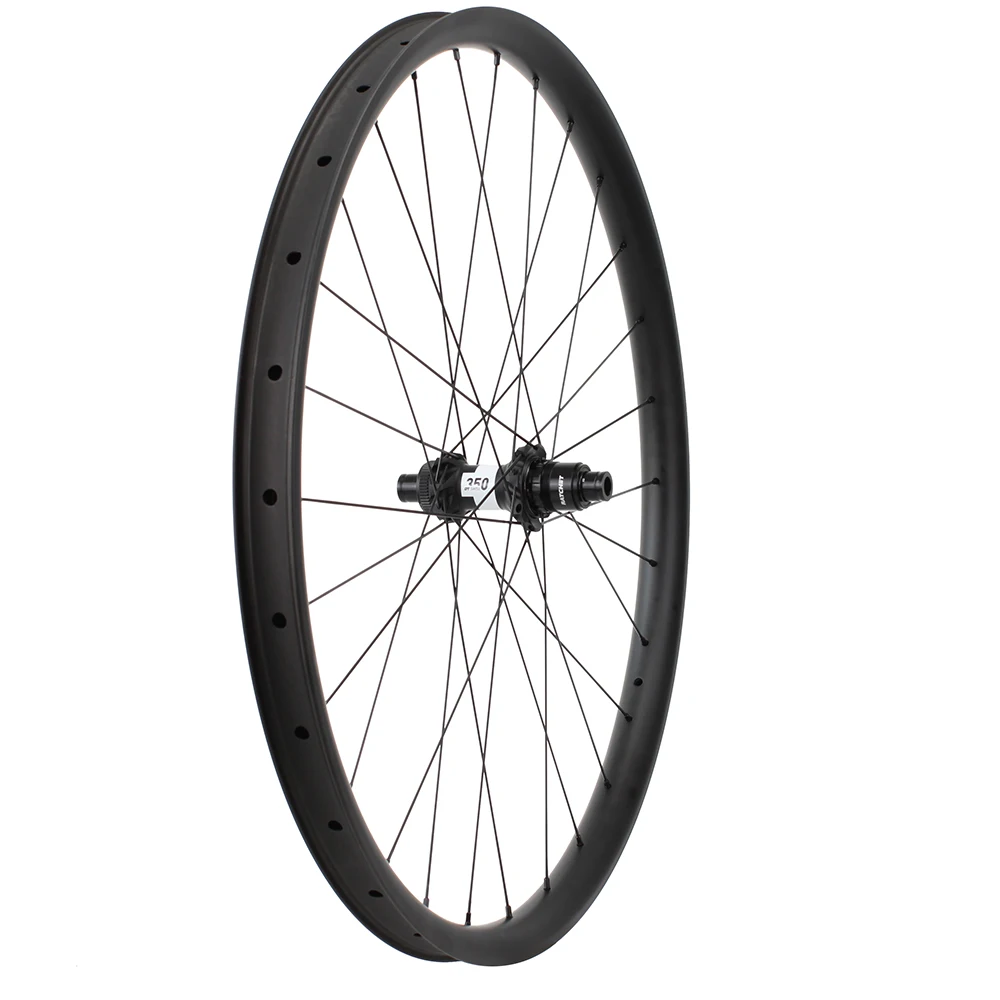 29er back wheel
