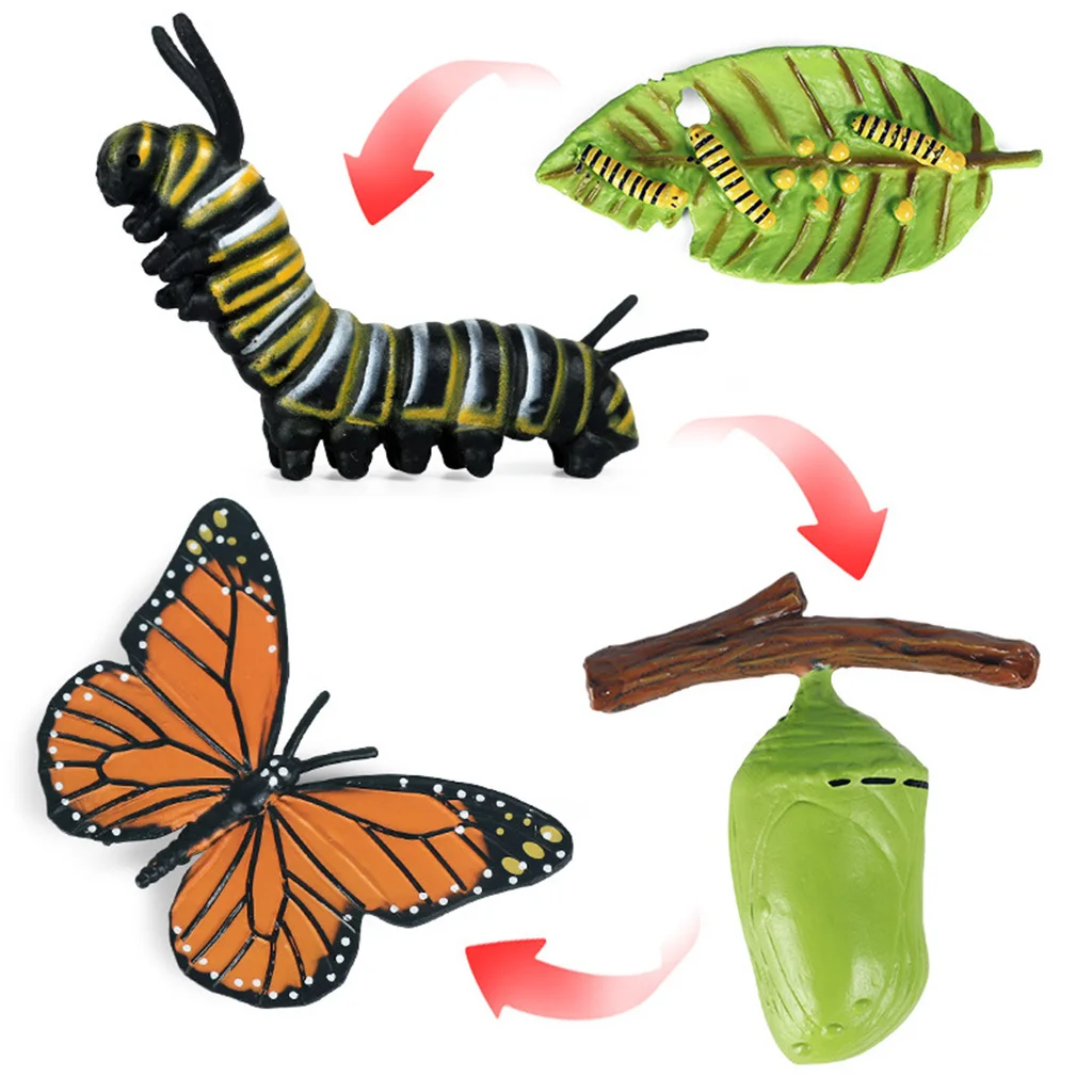 Plastic Insect Growth Stage Lifelike Butterfly Life Cycle Model Play Set for Children Education Insect Themed Party Favors