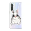 Phone Bags & Cases