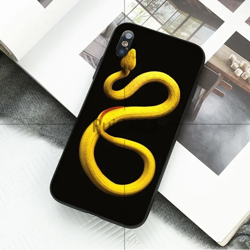 Ruicaica Coral snake animal TPU Silicone Phone Case Cover for Apple iPhone 8 7 6 6S Plus X XS MAX 5 5S SE XR 11 11pro max Cover