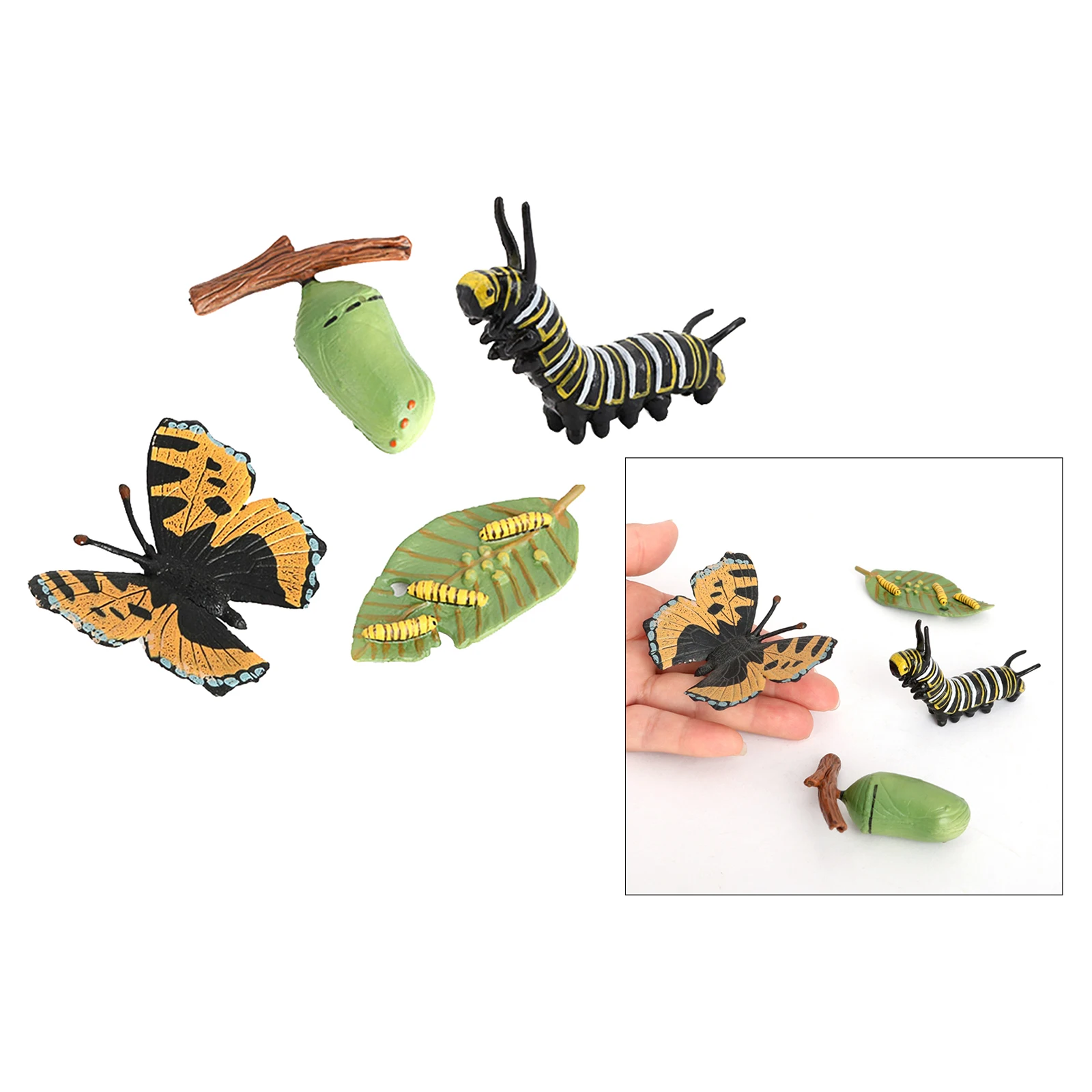 Insect Butterfly Lore Ladybug Life Cycle - 4 Pcs Insect Figure Shows Life Of Lady Bug