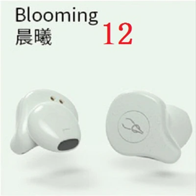 Sabbat X12 Pro Mini BLuetooth наушники порт беспроводные стерео наушники-вкладыши 5,0 водонепроницаемые беспроводные наушники - Цвет: Цвет кожи
