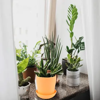 

8Pcs Plastic Planter Pots with Tray Durable Gardening Flowerpot Bonsai Container for Garden Balcony Flowers Succulents Planting