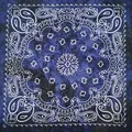 Dye Navy blue