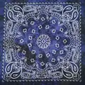 Dye Navy blue