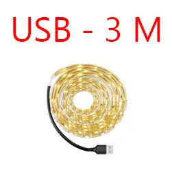 3M - USB 3 м 2 м 1 м светодиодный умный лестничный светильник под кровать светильник PIR датчик детектор Контроль Интеллектуальный настенный шкаф для ламп шкаф кухонный светильник - Цвет абажура: 3M - USB