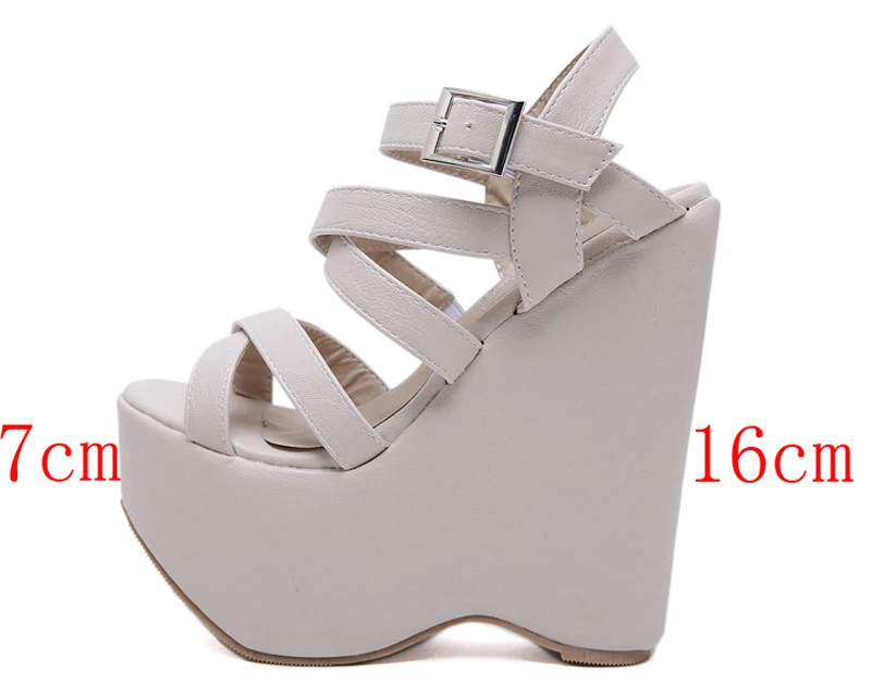 O1CN01eEjxX42LWBx9sWs5O_!!2035909699