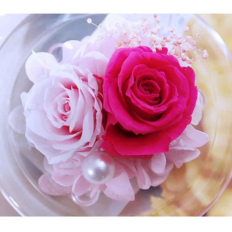 Роза вечный цветок со стеклянной крышкой подарочные коробки для дома Свадебная вечеринка украшения креативный подарок на день Святого Валентина