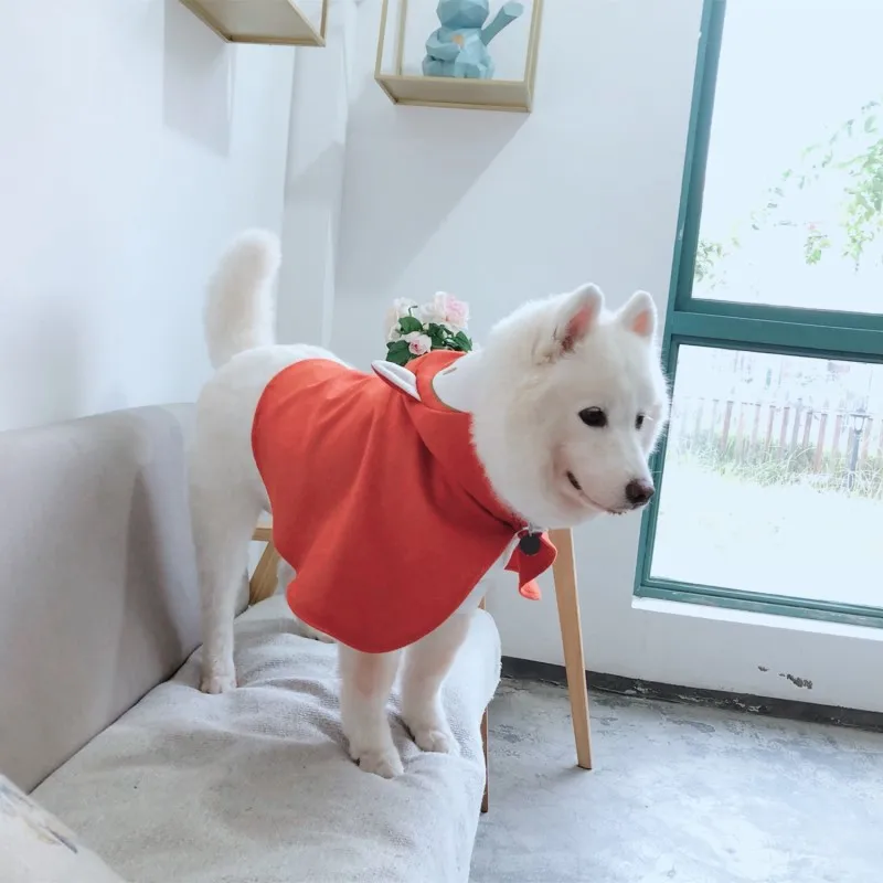 big dog cloak (25)