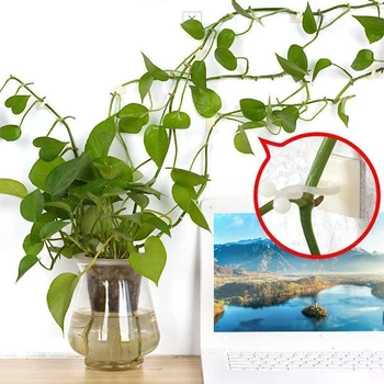 

Plant Climbing Wall Clip Invisible Wall Vines Fixture Wall Sticky Hook Holder Plant Cages & Supports Garden Tools 100Pcs