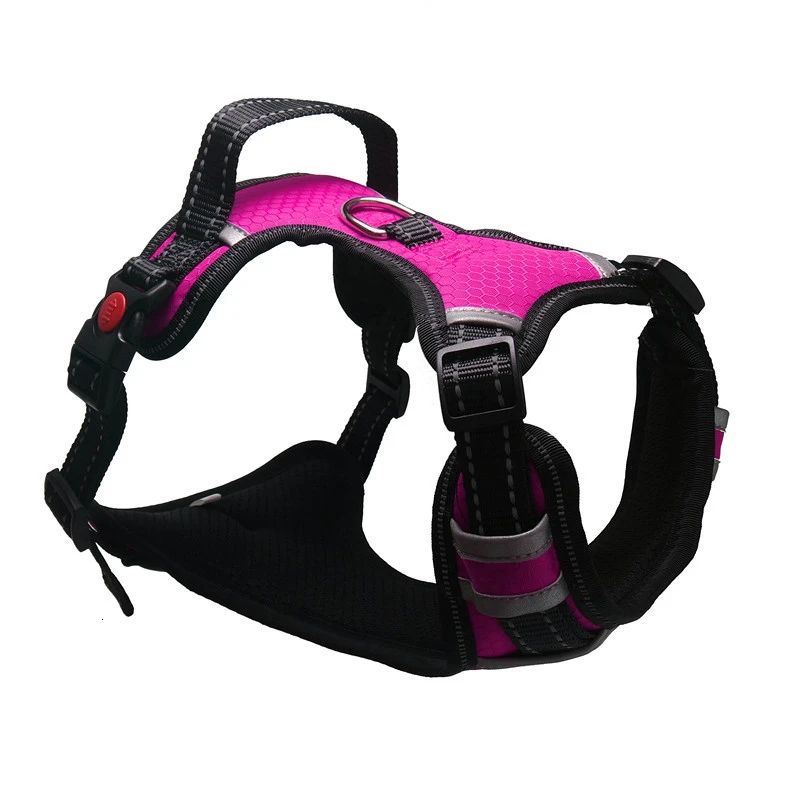 Large Dog Harness - mrprettypet