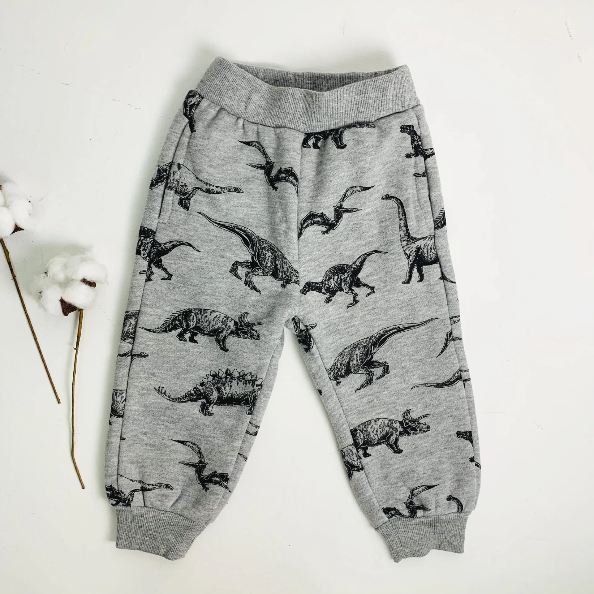 boys christmas clothes boy clothes toddler clothes girls fall outfts kids clothes dinosaur hoodies+pants 2 pcs sport clothing
