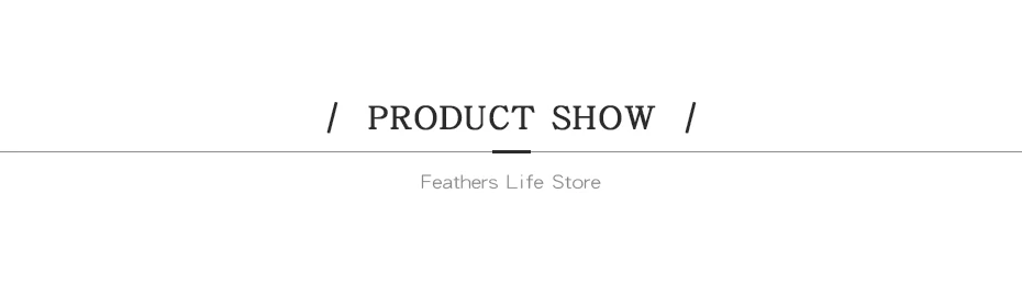 product show