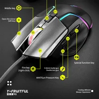 Computer Peripherals