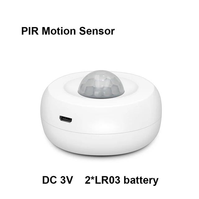 MS07 PIR