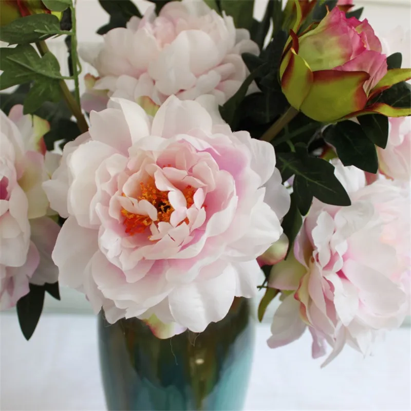 3537706252_2132096240