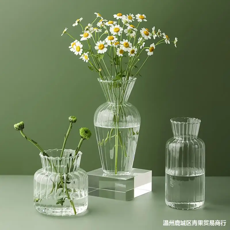 Transparent Glass Vase Home Plants Hydroponic Vase Nordic Ins Style