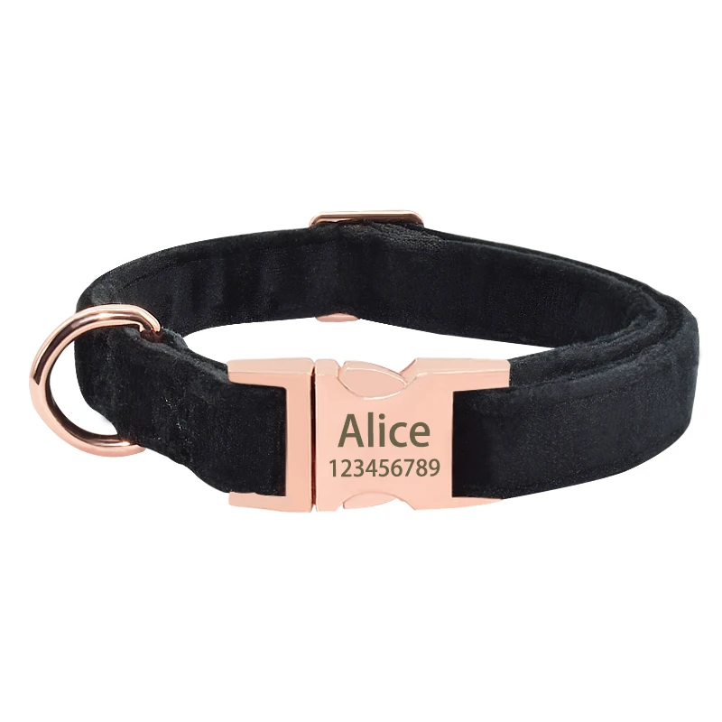 Dog Name Collar personalizado com fivela de