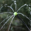 RBCFHI 5-60M 1/4'' Automatic Micro Drip Irrigation System Garden 8 Hole Spray Self Watering Kits With Adjustable Green Dripper 5