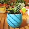 Garden Supplies