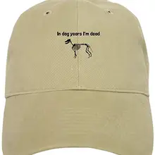 Бейсбольная кепка in Dog Years Im Dead