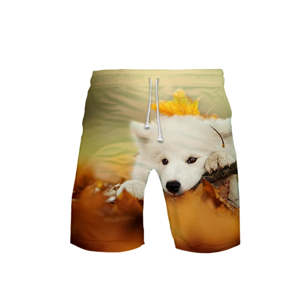 Samoyed 3D шорты летние быстросохнущие пляжные мужские шорты хип хоп бермуды плавающие шорты мужские